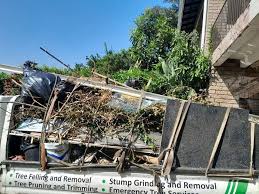 Best Recycling Services for Junk  in Hawthorn Woods, IL